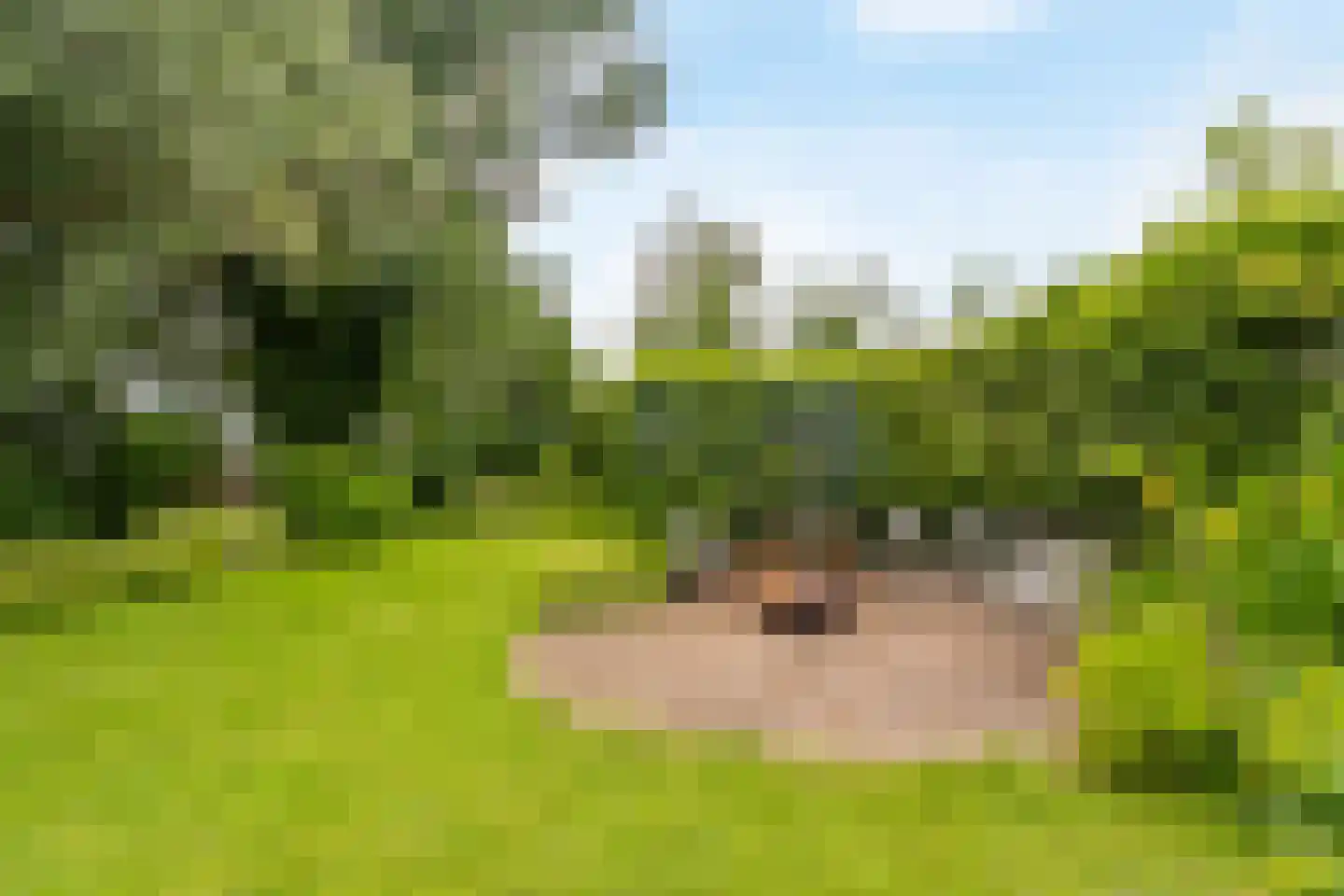 Westfriesedijk 7 Aartswoud thumbnail 43