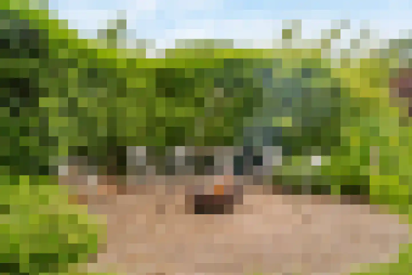 Westfriesedijk 7 Aartswoud thumbnail 44