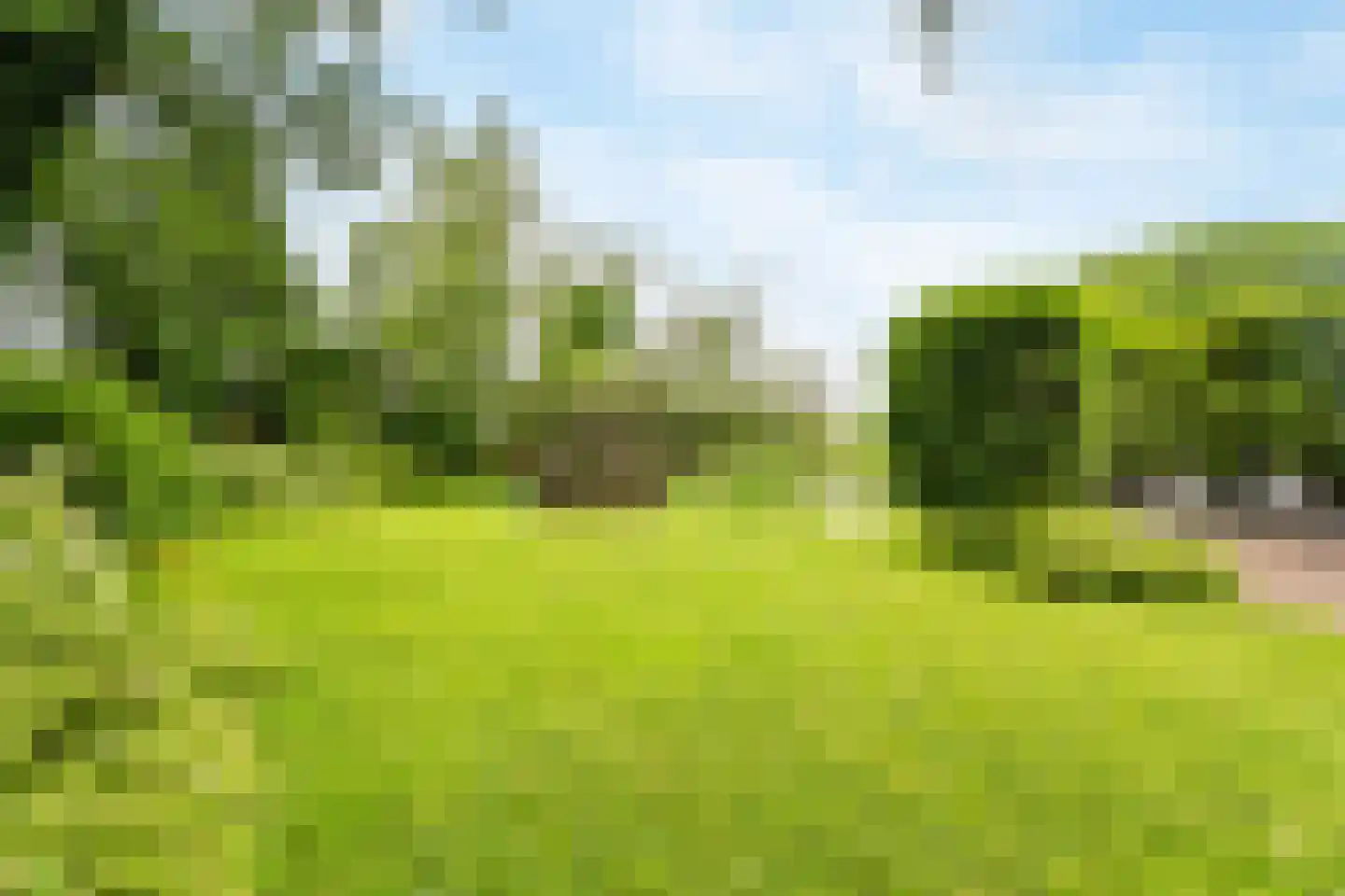 Westfriesedijk 7 Aartswoud thumbnail 46