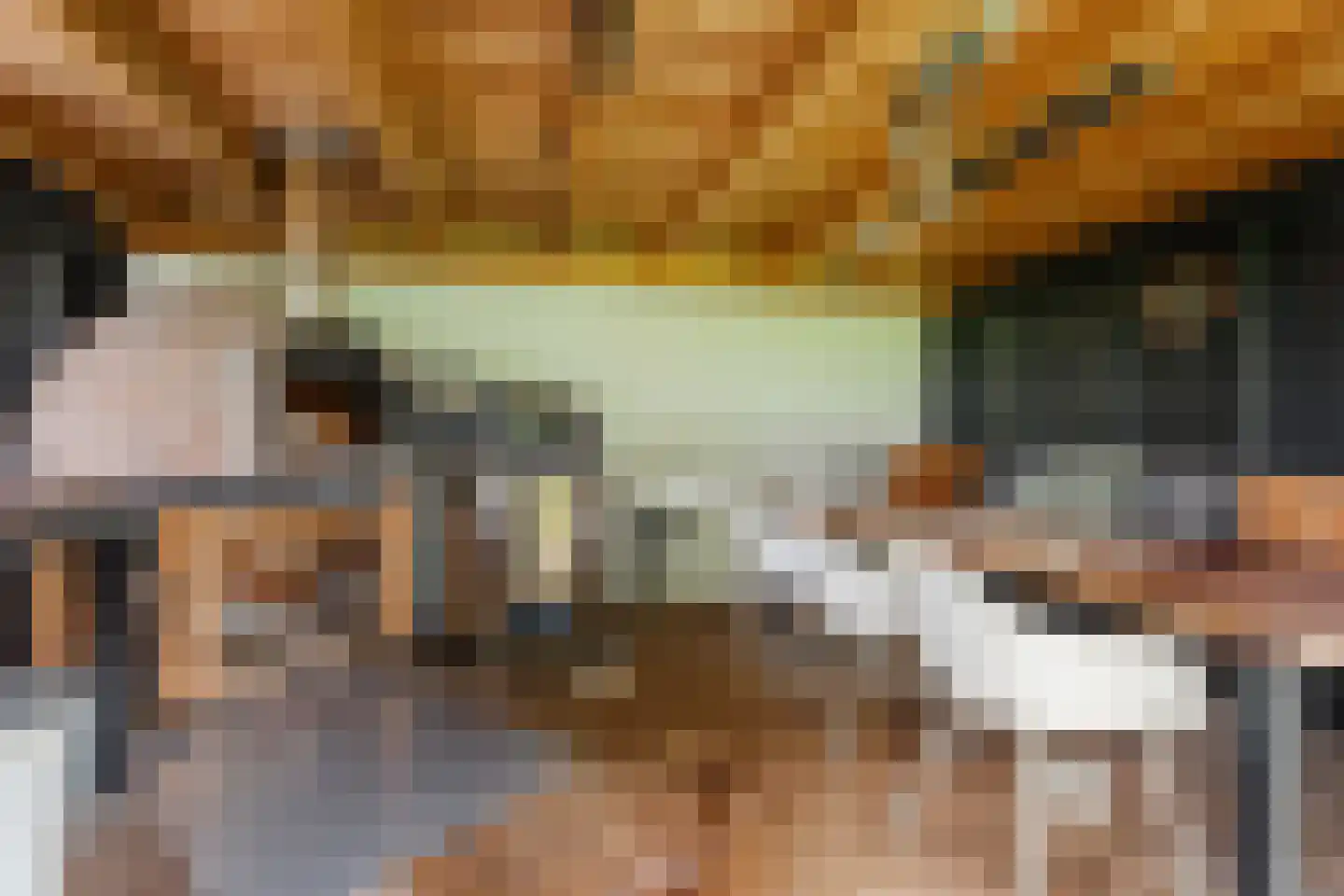 Westfriesedijk 7 Aartswoud thumbnail 5