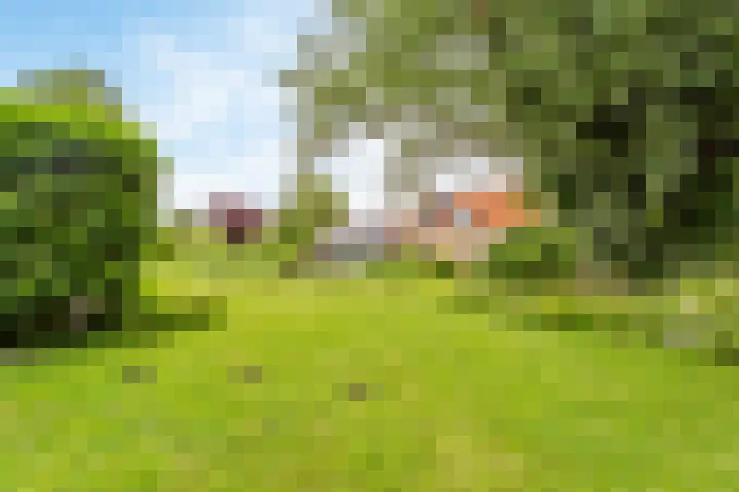 Westfriesedijk 7 Aartswoud thumbnail 52