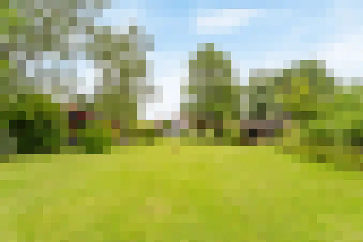 Westfriesedijk 7 Aartswoud thumbnail 56
