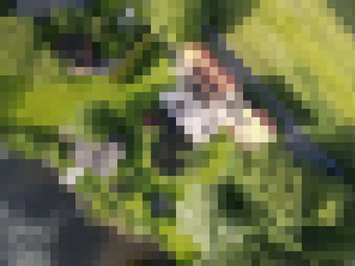 Westfriesedijk 7 Aartswoud thumbnail 7