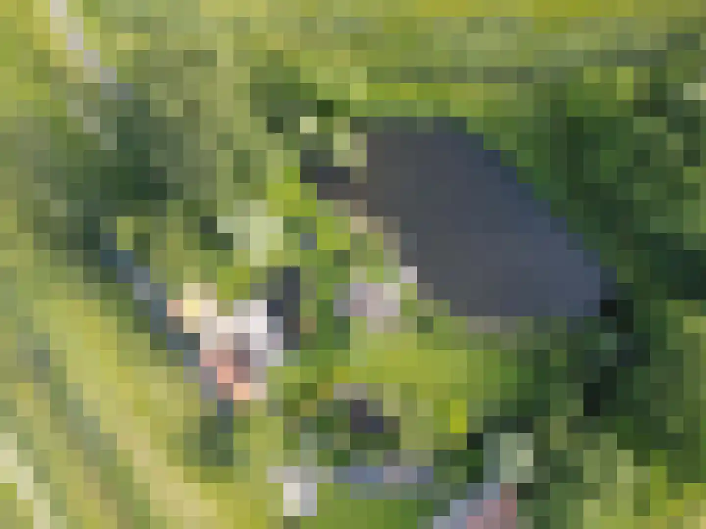 Westfriesedijk 7 Aartswoud thumbnail 8