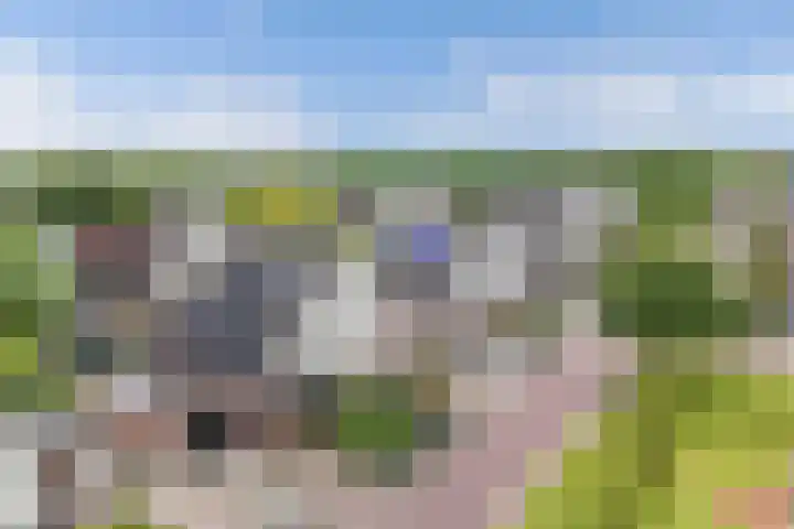 Westfriesland 5 Emmeloord thumbnail 10