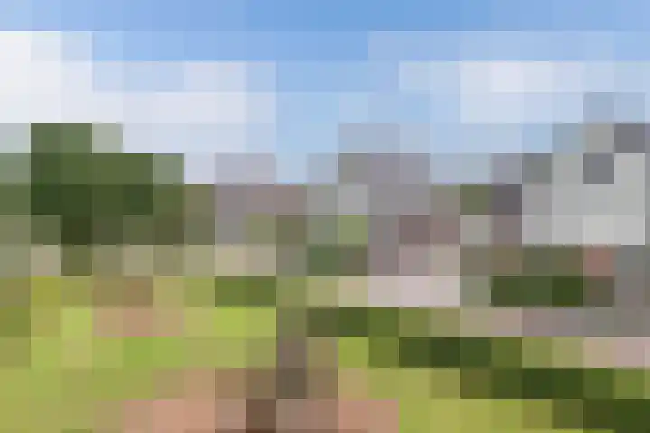 Westfriesland 5 Emmeloord thumbnail 11