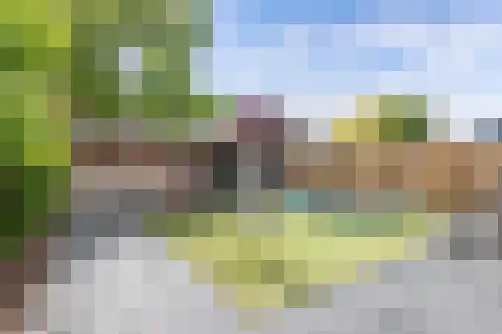 Westfriesland 5 Emmeloord thumbnail 48