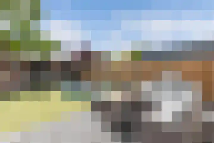 Westfriesland 5 Emmeloord thumbnail 54