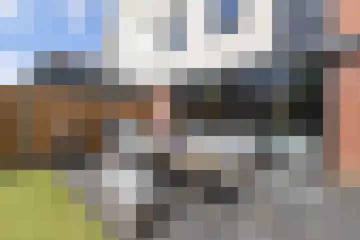 Westfriesland 5 Emmeloord thumbnail 55