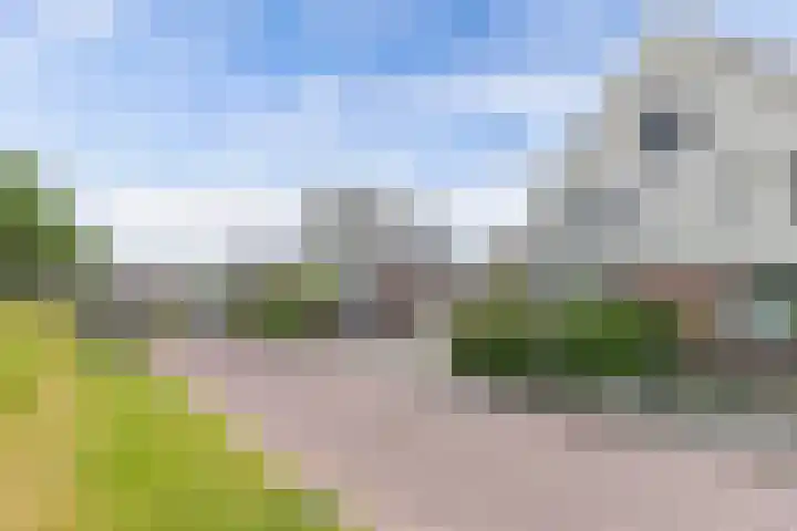 Westfriesland 5 Emmeloord thumbnail 6