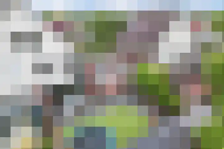 Westfriesland 5 Emmeloord thumbnail 61