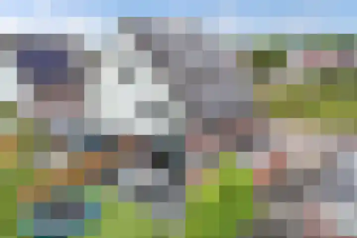 Westfriesland 5 Emmeloord thumbnail 62