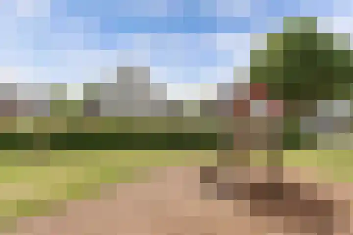 Westfriesland 5 Emmeloord thumbnail 8