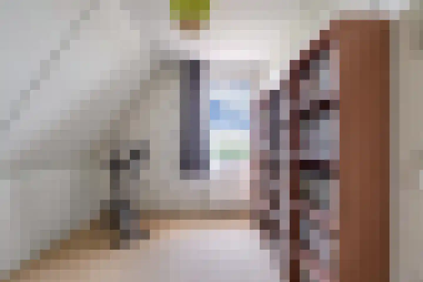 Westfrisestraat 34 St.-Annaparochie thumbnail 35