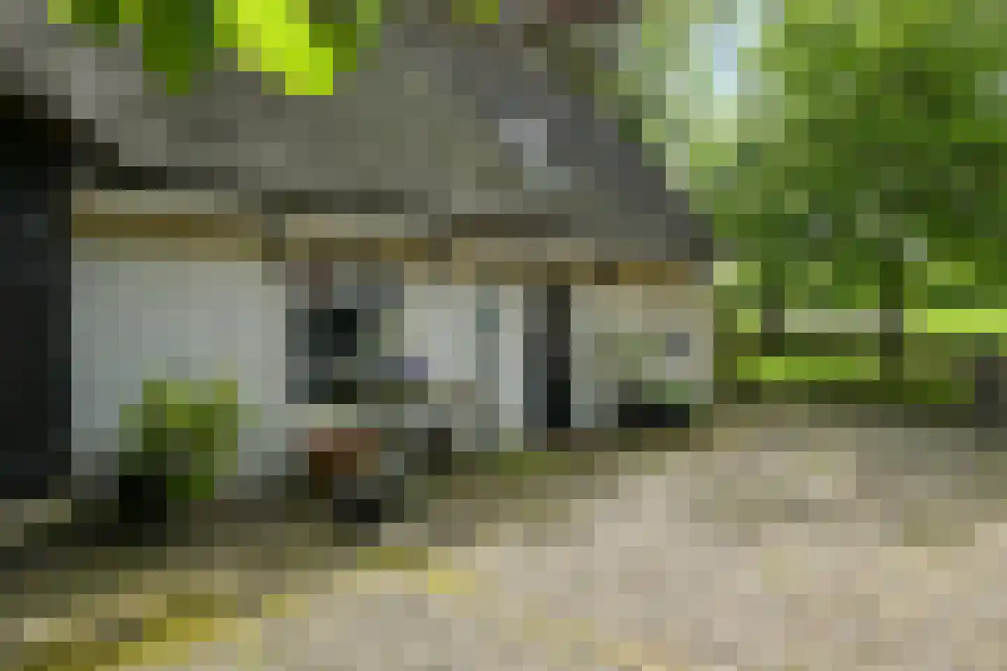 Westgaag 108 Maasdijk thumbnail 100