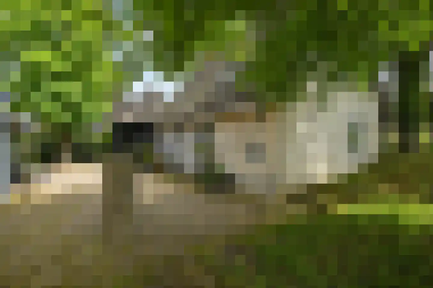 Westgaag 108 Maasdijk thumbnail 101