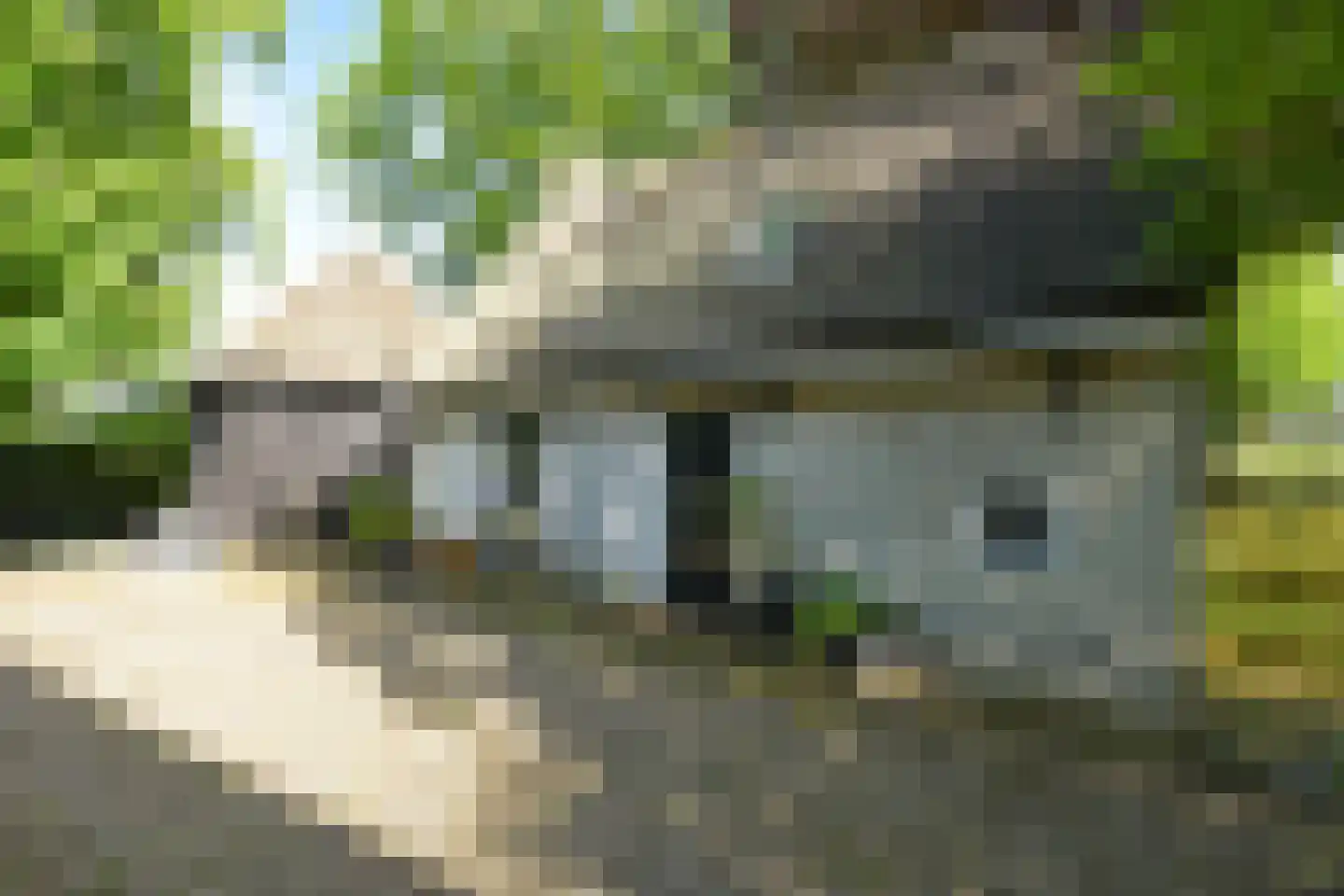 Westgaag 108 Maasdijk thumbnail 103