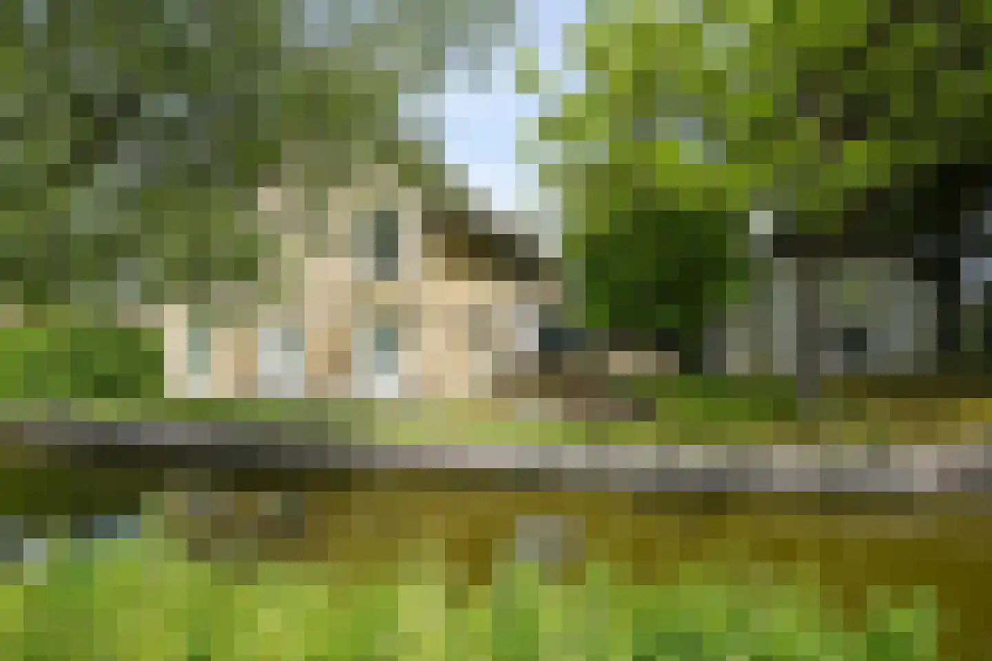 Westgaag 108 Maasdijk thumbnail 11