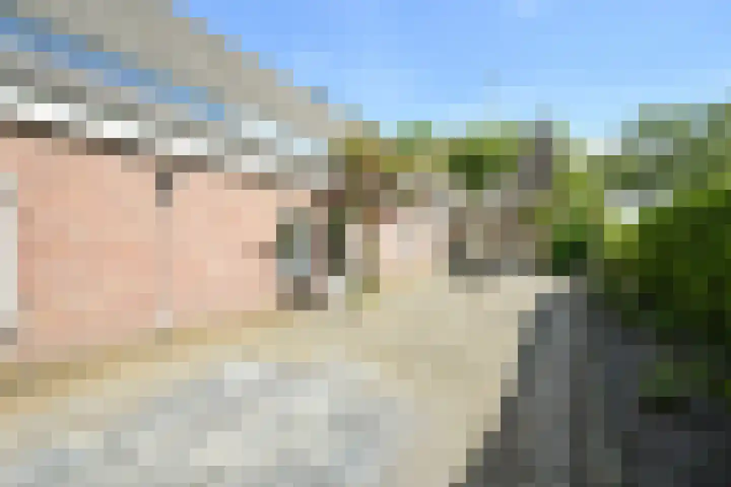 Westgaag 108 Maasdijk thumbnail 28