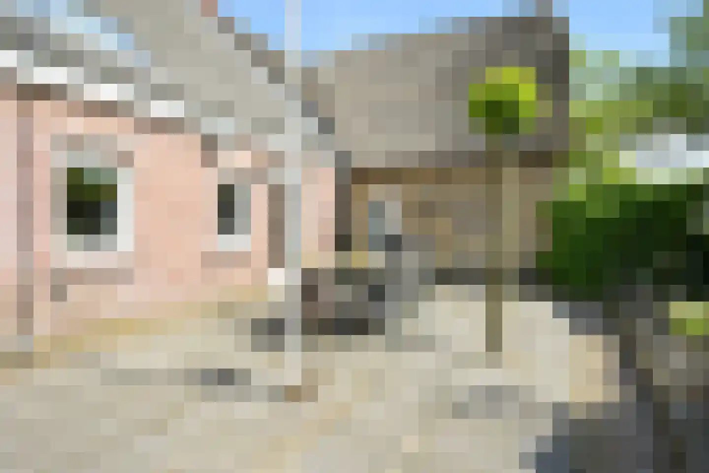 Westgaag 108 Maasdijk thumbnail 29