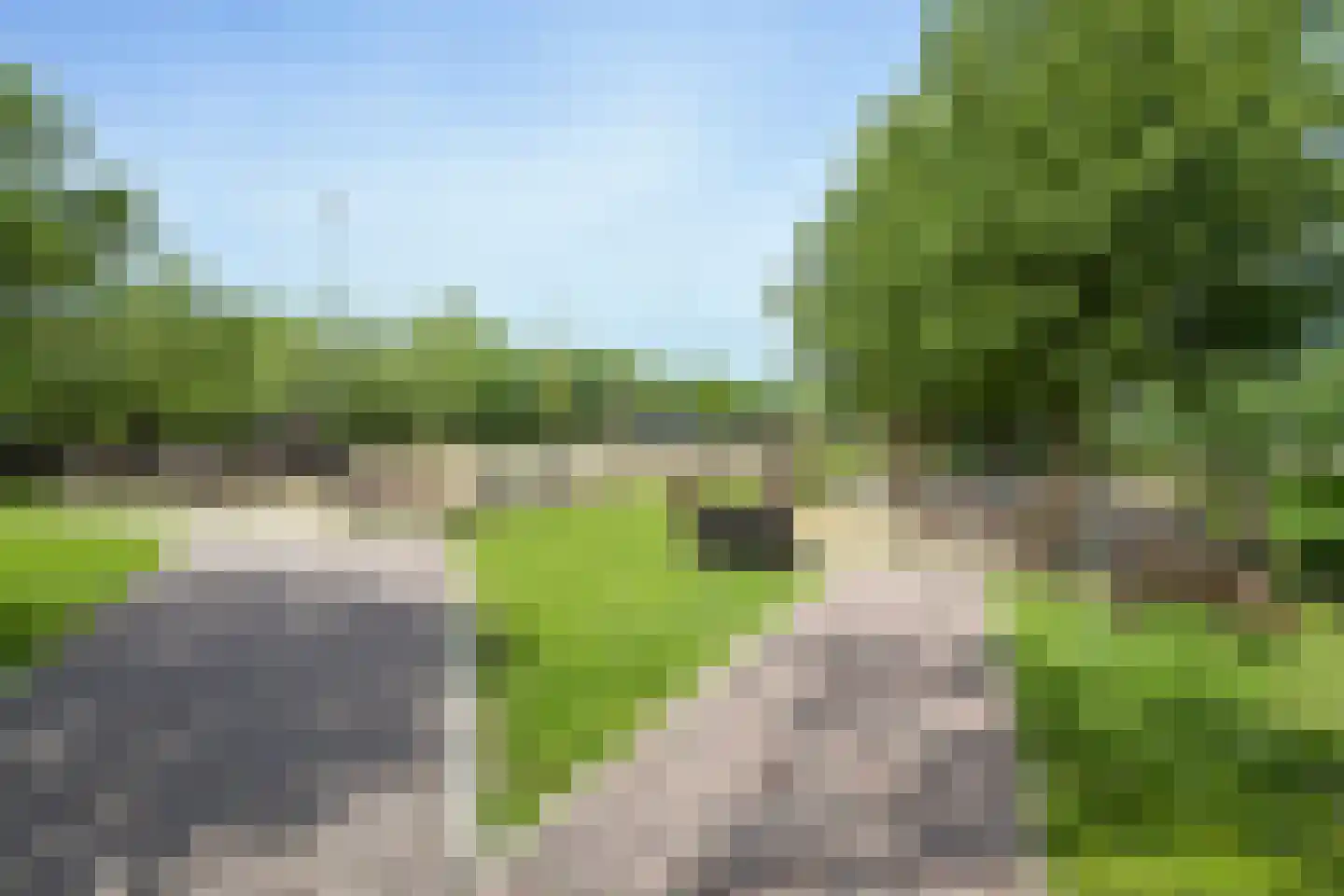 Westgaag 108 Maasdijk thumbnail 4