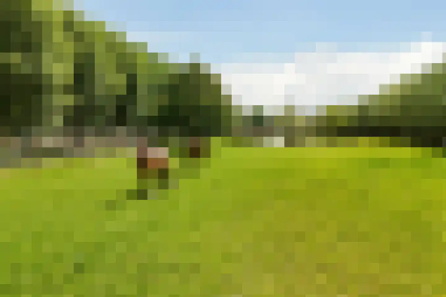 Westgaag 108 Maasdijk thumbnail 5