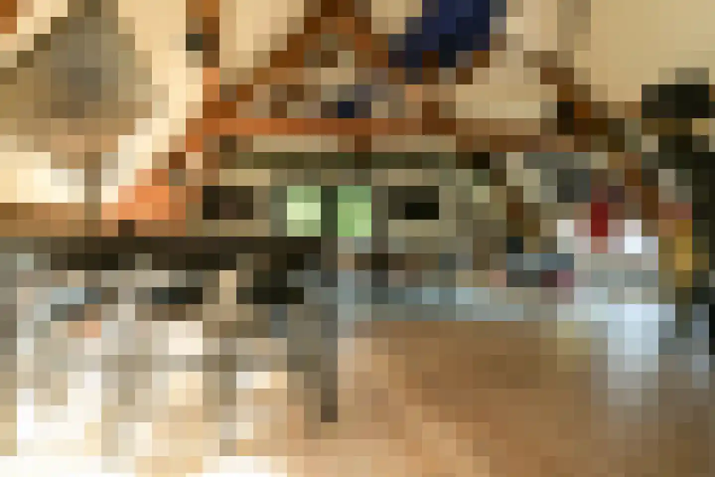 Westgaag 108 Maasdijk thumbnail 63