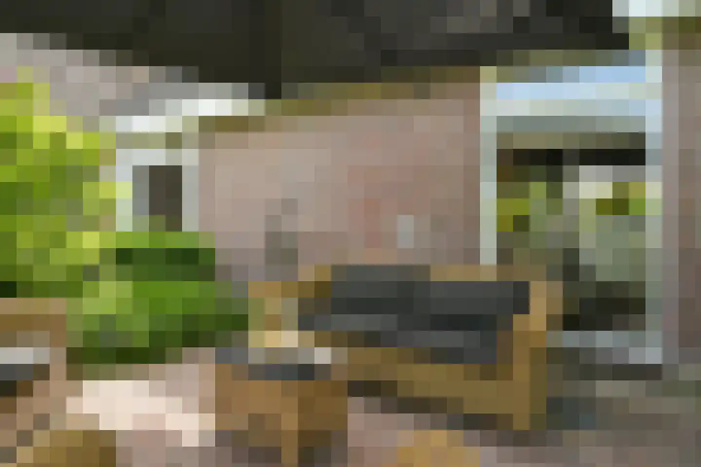 Westgaag 108 Maasdijk thumbnail 71