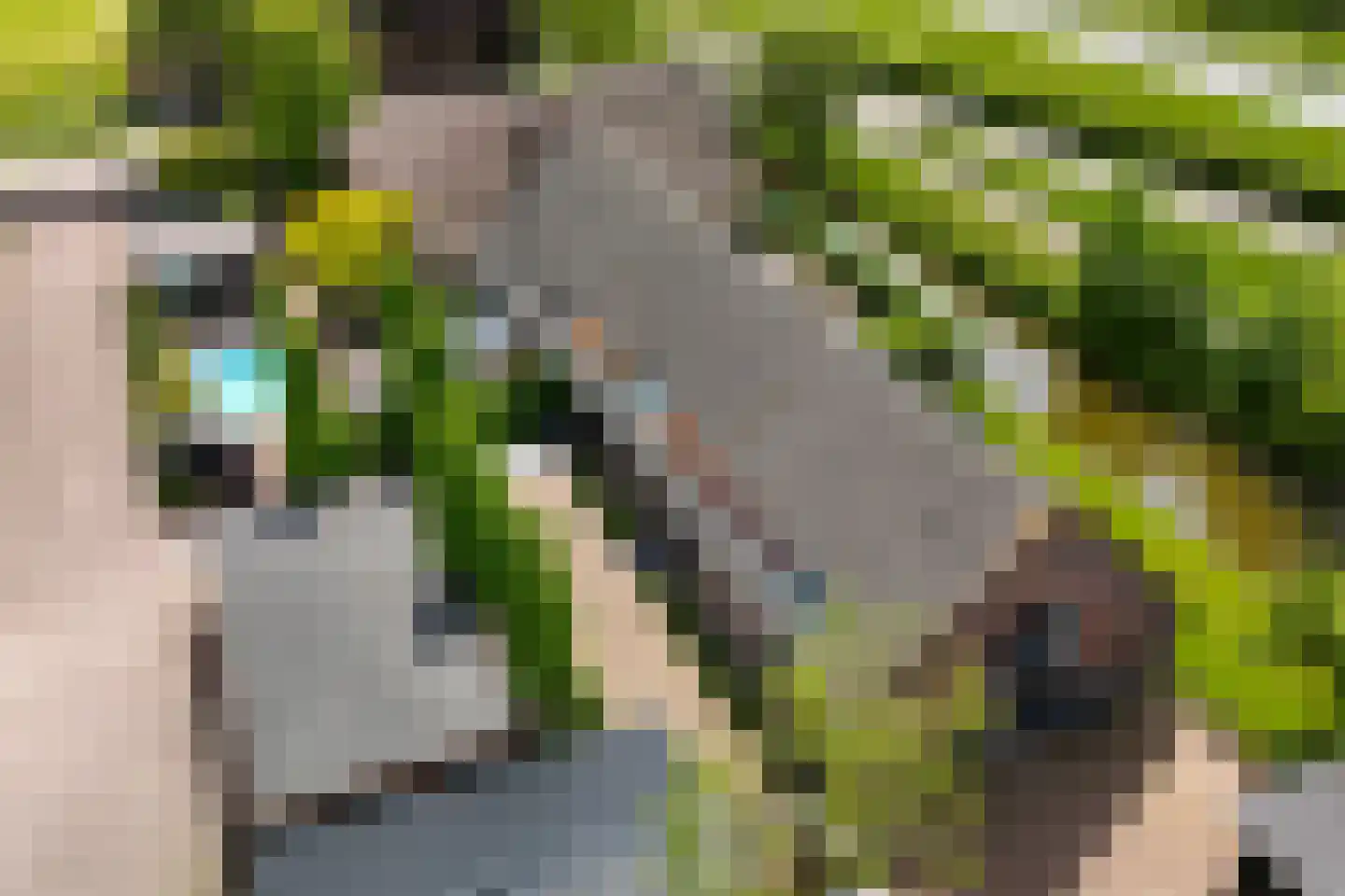 Westgaag 108 Maasdijk thumbnail 8
