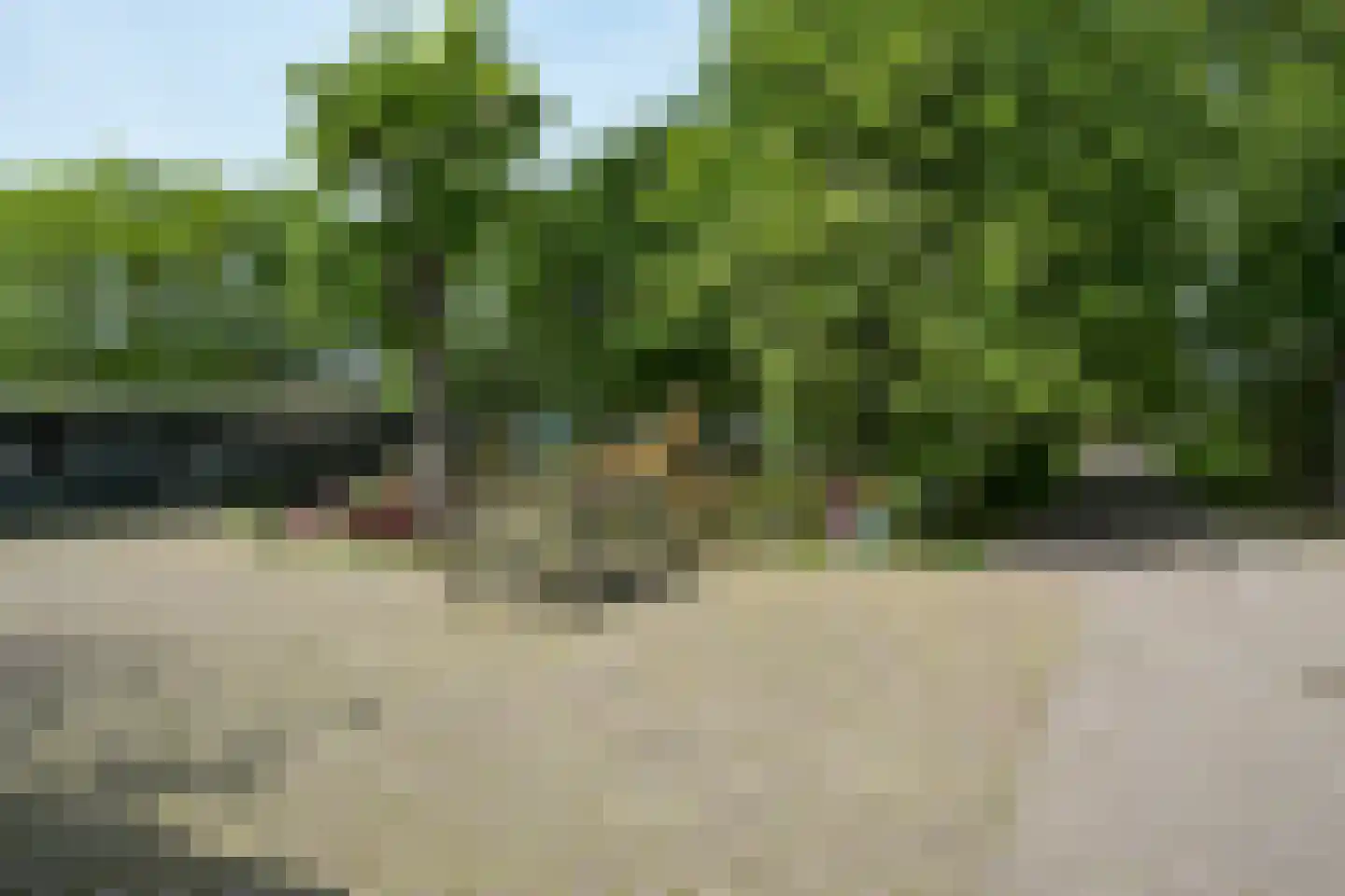 Westgaag 108 Maasdijk thumbnail 81