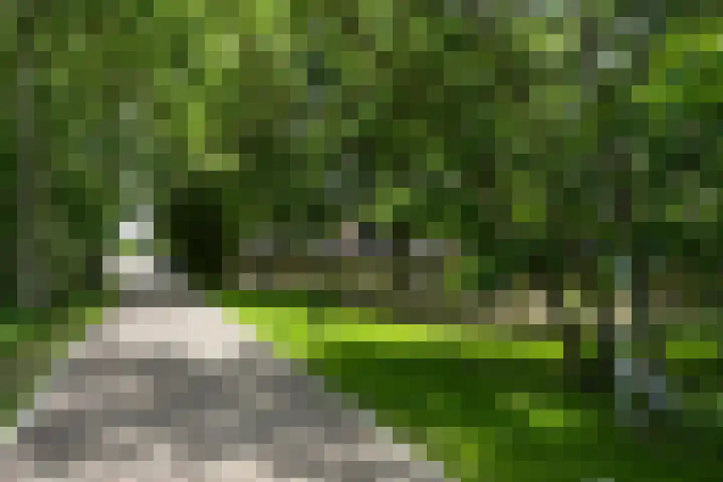 Westgaag 108 Maasdijk thumbnail 86