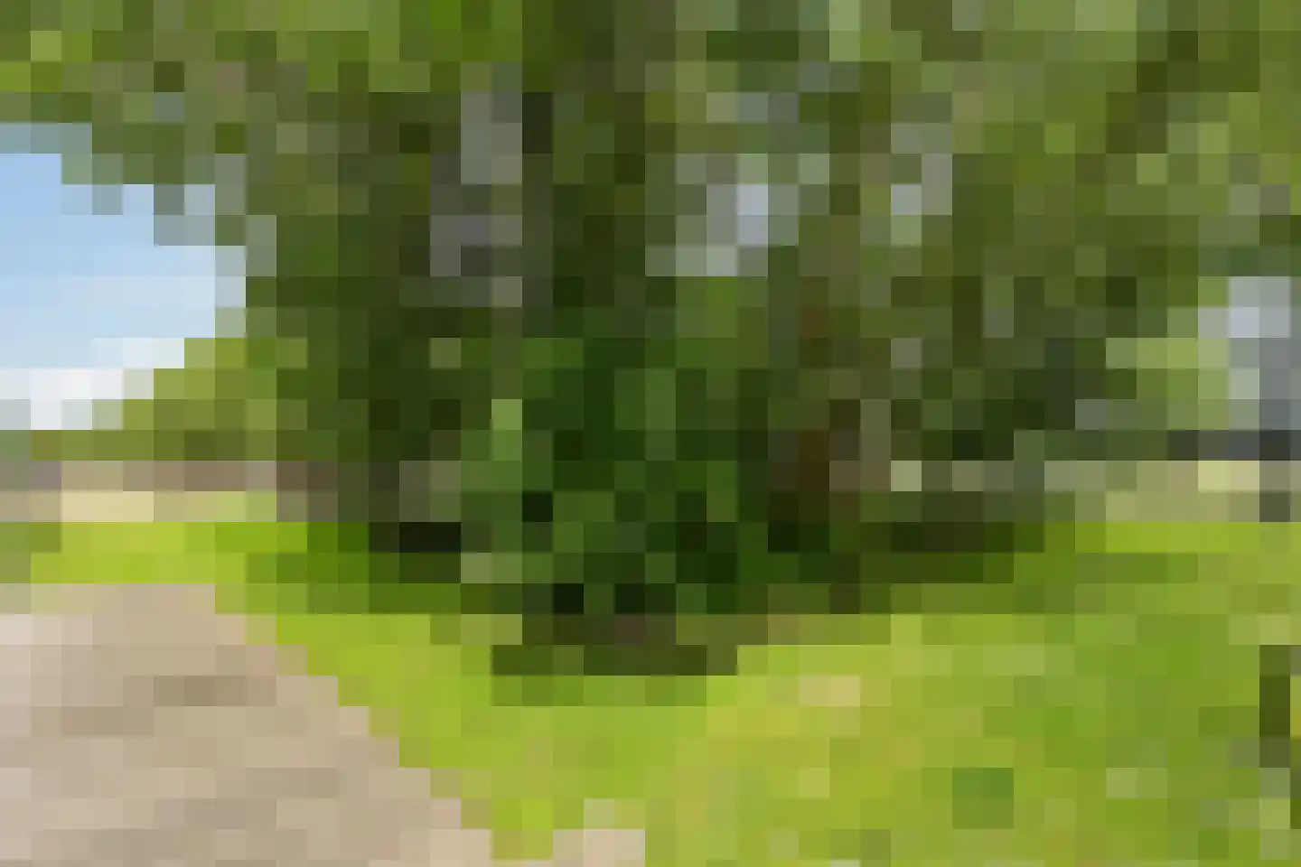 Westgaag 108 Maasdijk thumbnail 87