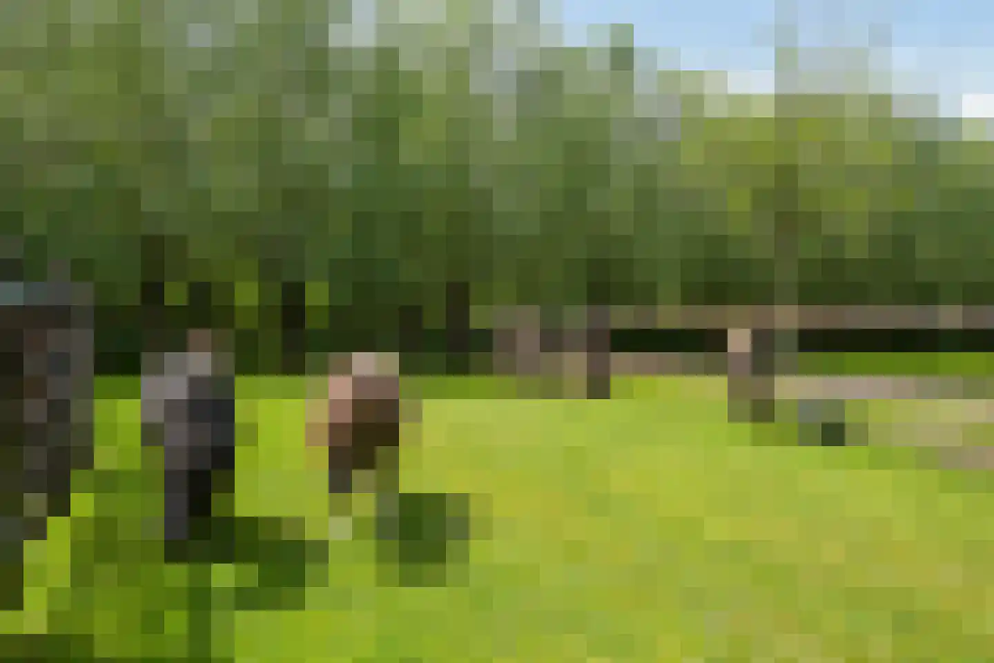 Westgaag 108 Maasdijk thumbnail 91
