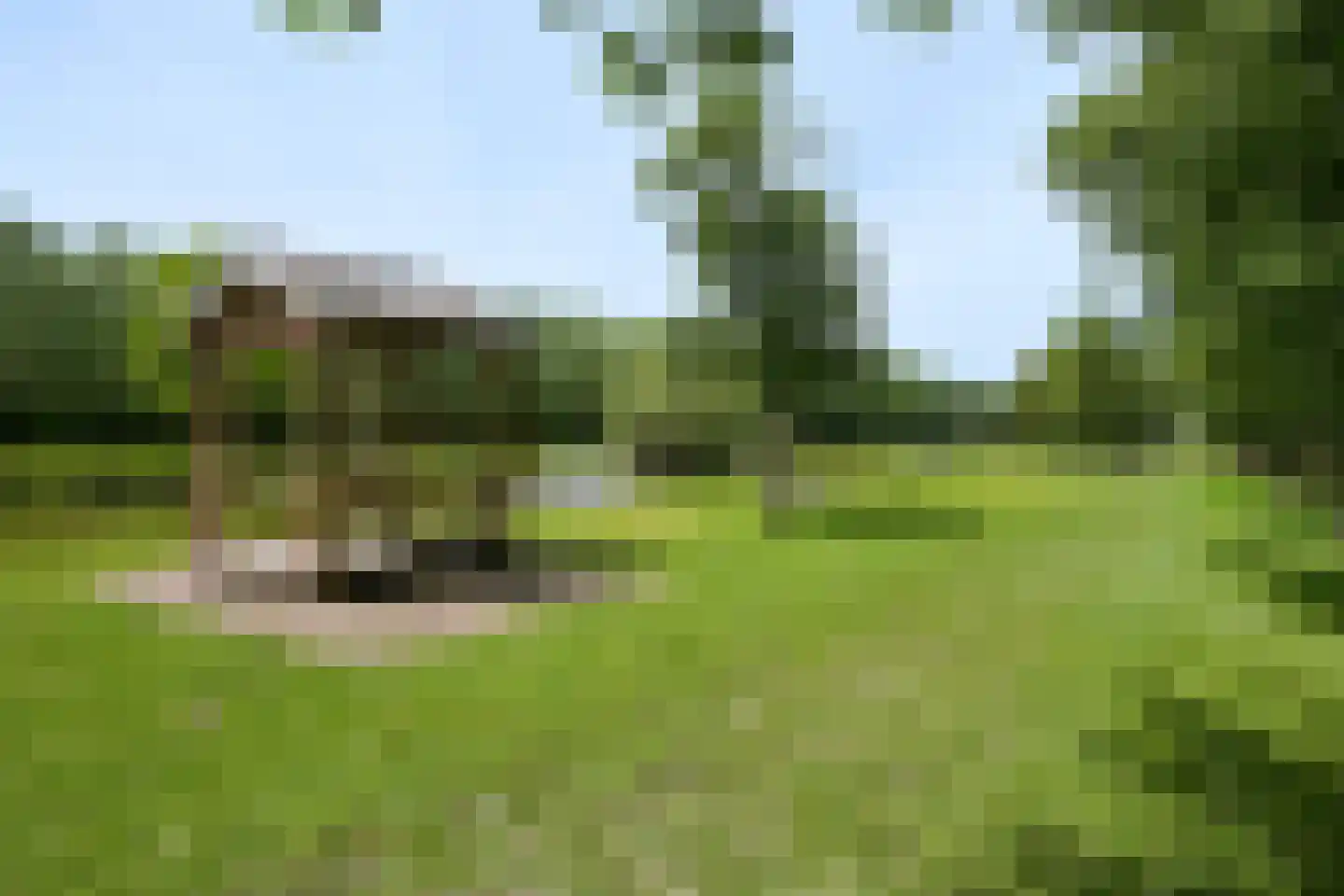 Westgaag 108 Maasdijk thumbnail 92