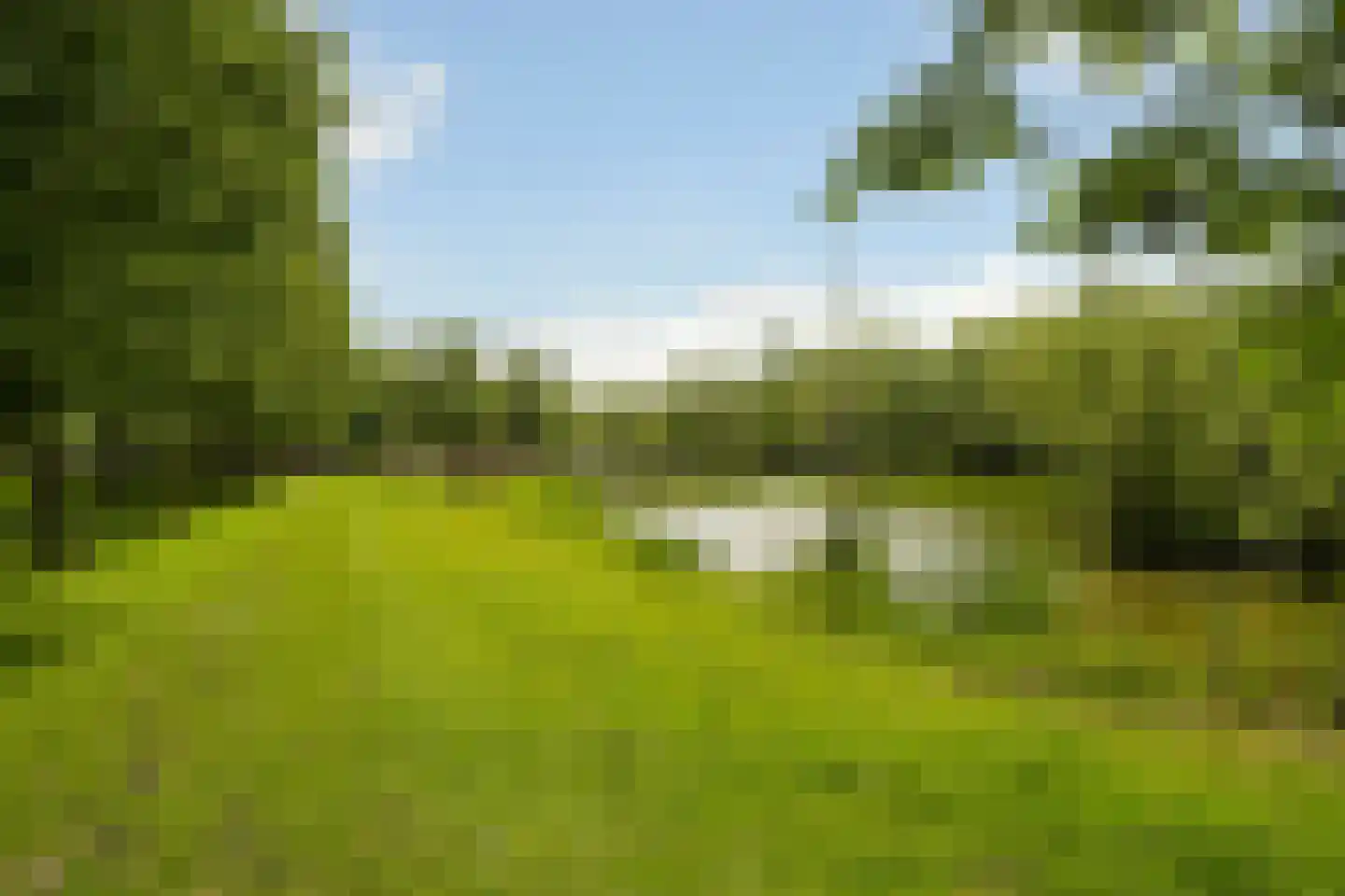 Westgaag 108 Maasdijk thumbnail 93