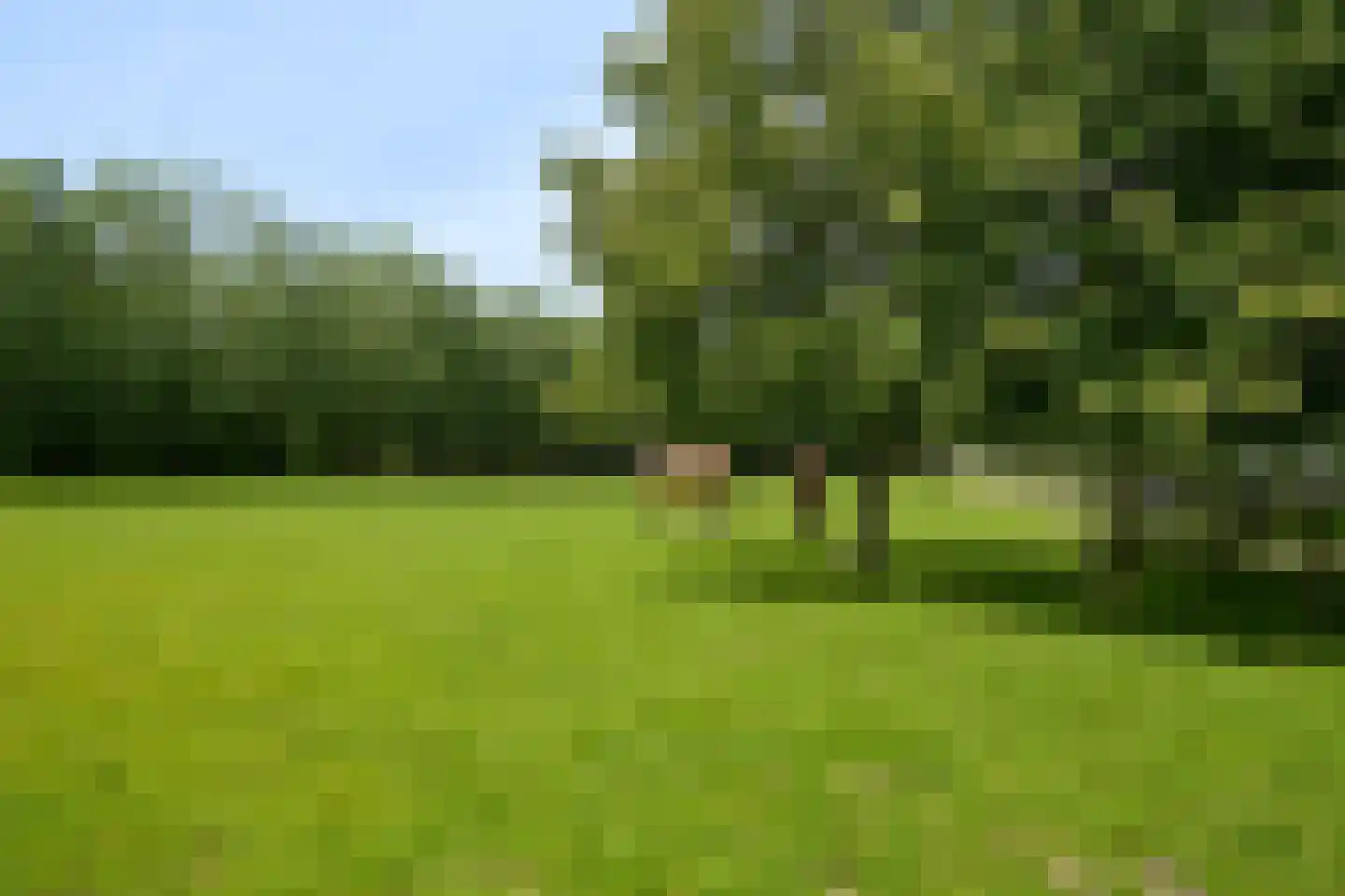 Westgaag 108 Maasdijk thumbnail 94