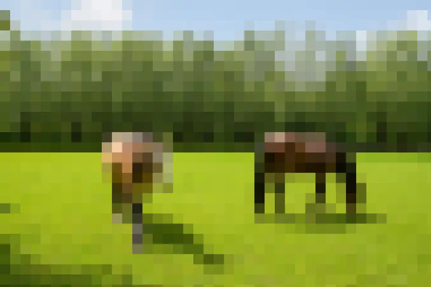 Westgaag 108 Maasdijk thumbnail 95