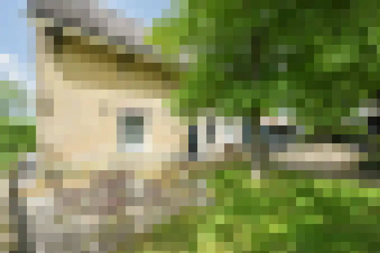 Westgaag 108 Maasdijk thumbnail 96