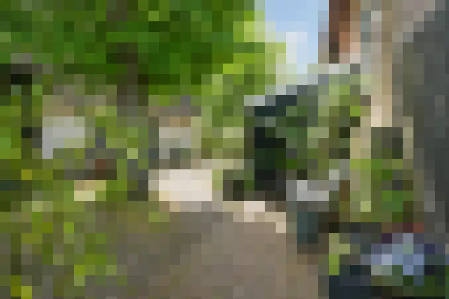 Westgaag 108 Maasdijk thumbnail 97
