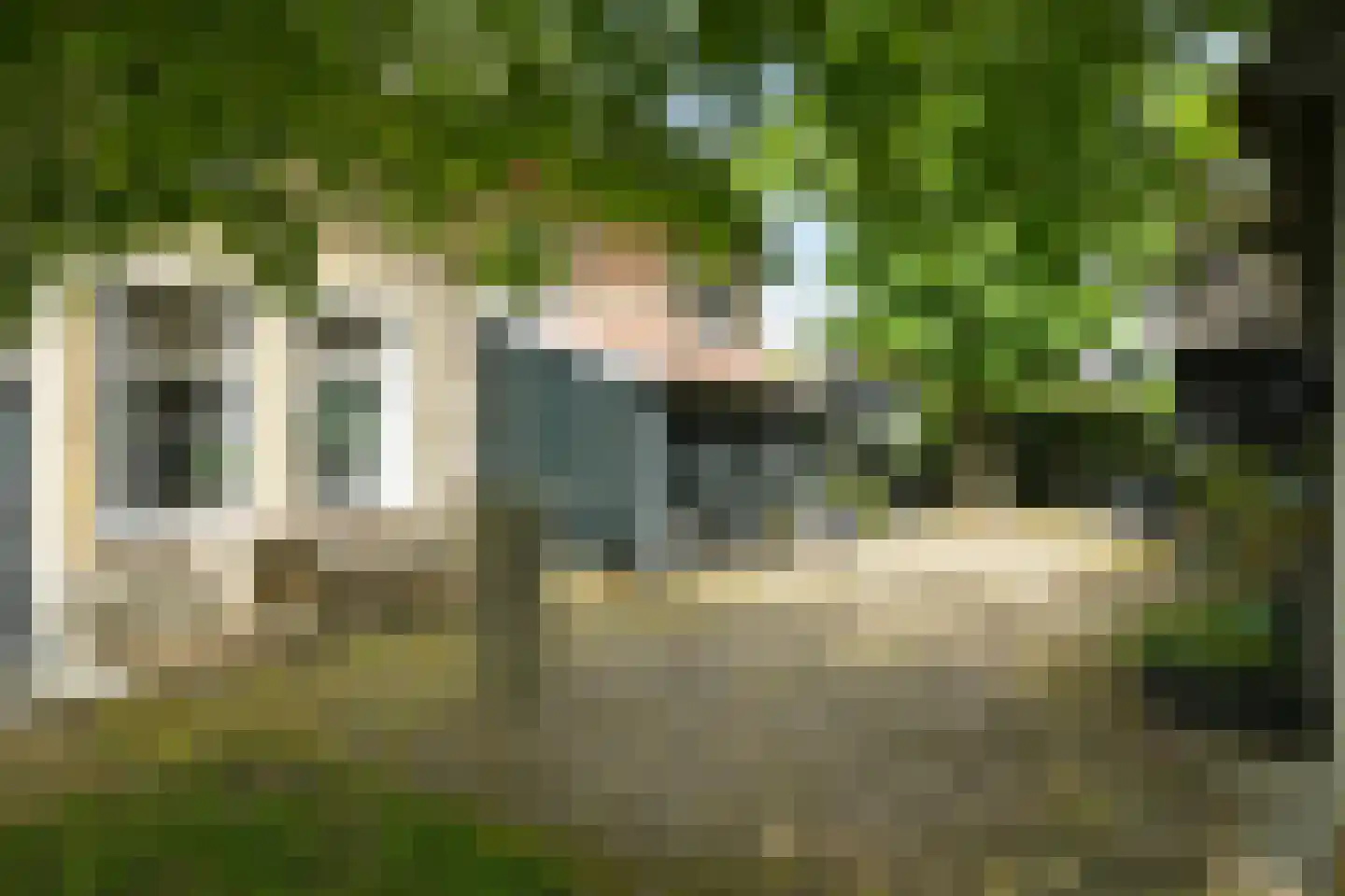 Westgaag 108 Maasdijk thumbnail 98