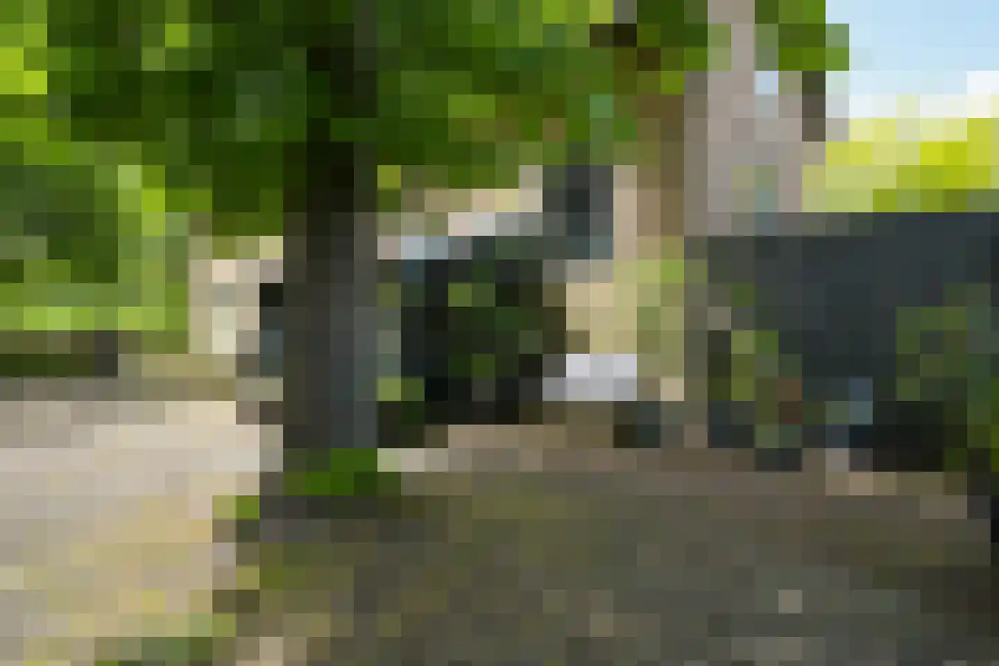 Westgaag 108 Maasdijk thumbnail 99