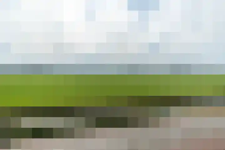 Westgaag 34 Maasland thumbnail 30