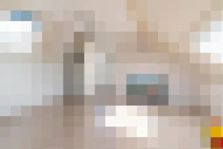 Westgaag 34 Maasland thumbnail 32