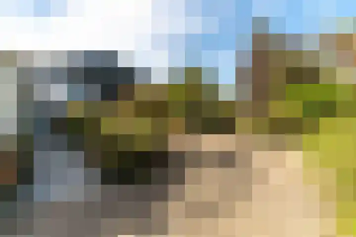 Westgaag 34 Maasland thumbnail 35