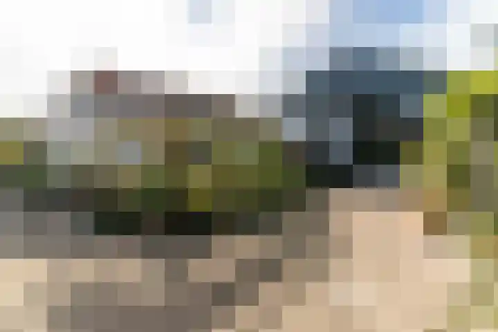 Westgaag 34 Maasland thumbnail 36