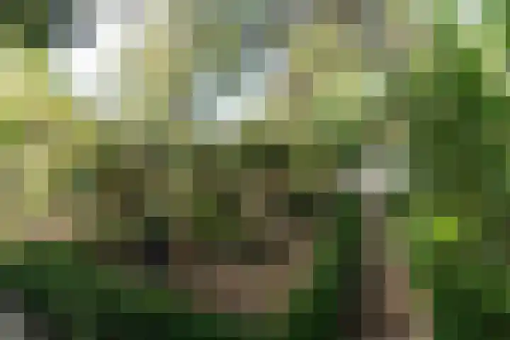 Westgaag 34 Maasland thumbnail 41