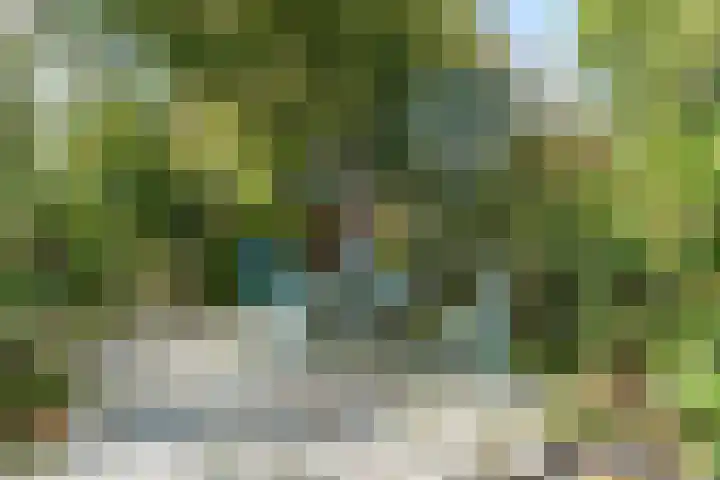 Westgaag 34 Maasland thumbnail 42