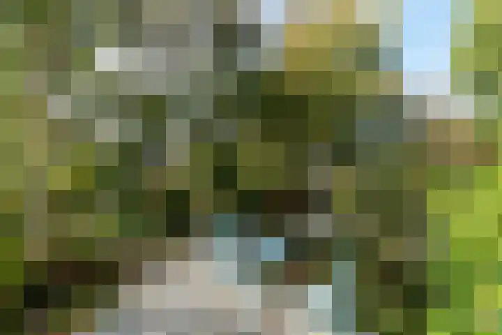 Westgaag 34 Maasland thumbnail 43