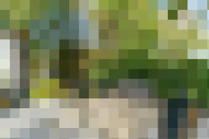 Westgaag 34 Maasland thumbnail 44