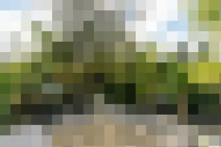 Westgaag 34 Maasland thumbnail 45